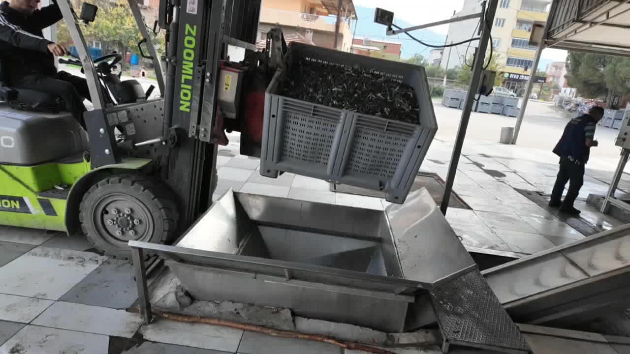 Zeytinyağı üreticisinden değerlendirme: "Maliyetler yüksek, fiyatlar düşük"