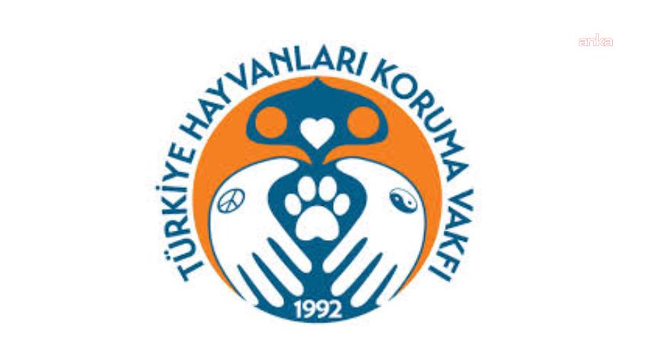 Türkiye Hayvanları Koruma Vakfı: Sokak hayvanlarını beslemek suç veya kabahat değildir