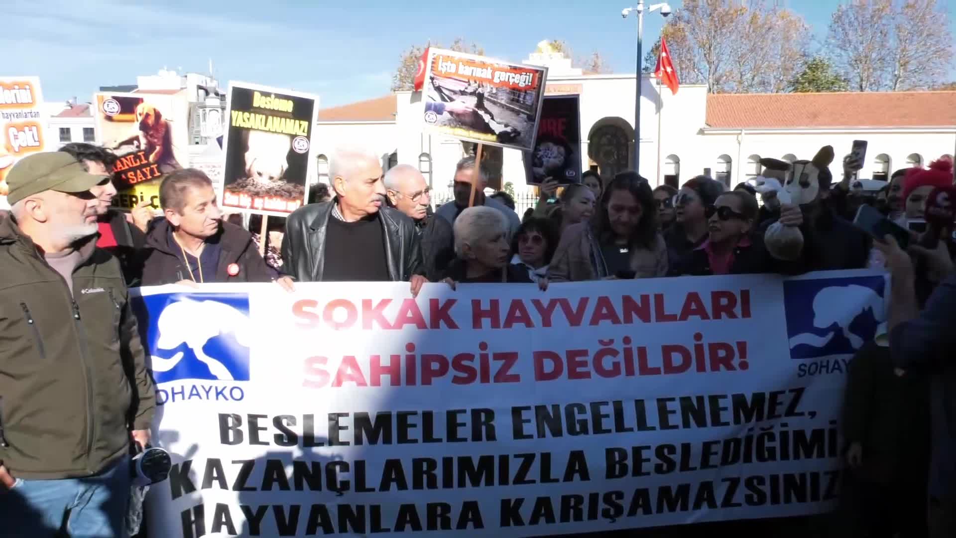 İstanbul Valiliği'nin "sokak hayvanları" genelgesine tepki: Yasa da çıkartsanız, sokak hayvanlarını beslemeye devam edeceğiz