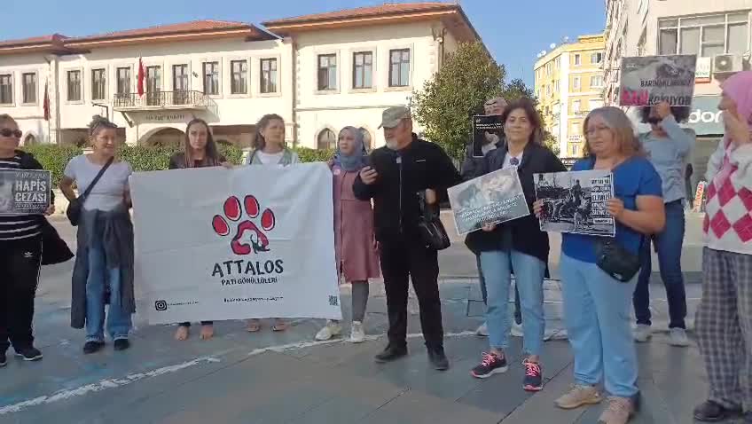 Antalyalı hayvanseverlerden İstanbul Valiliği'ne tepki: "Sokak hayvanlarının beslenmelerini engelleyen uygulamalar kanunun amacına aykırıdır"