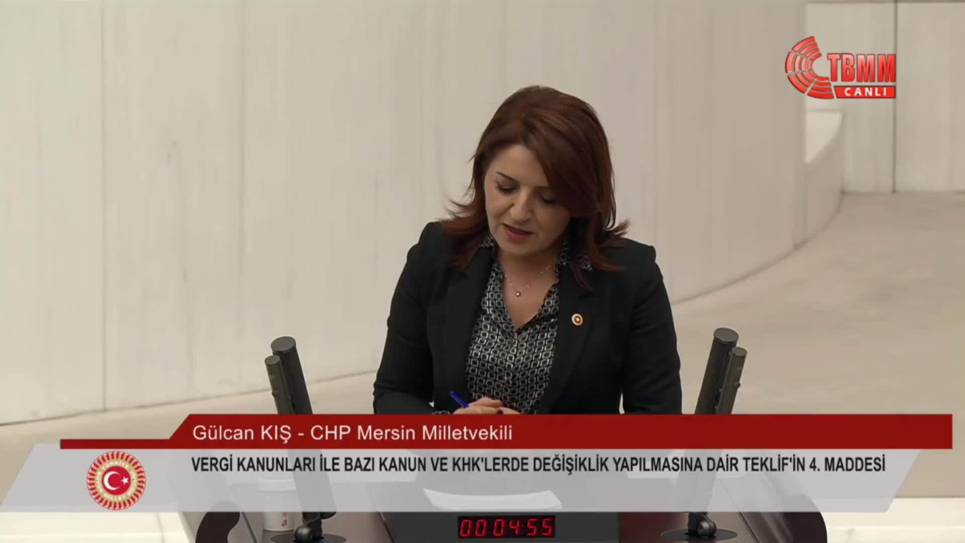 TBMM Genel Kurulu... CHP'li Kış: Devleti hizmet sunan değil, yük dağıtan bir aygıta dönüştürdünüz