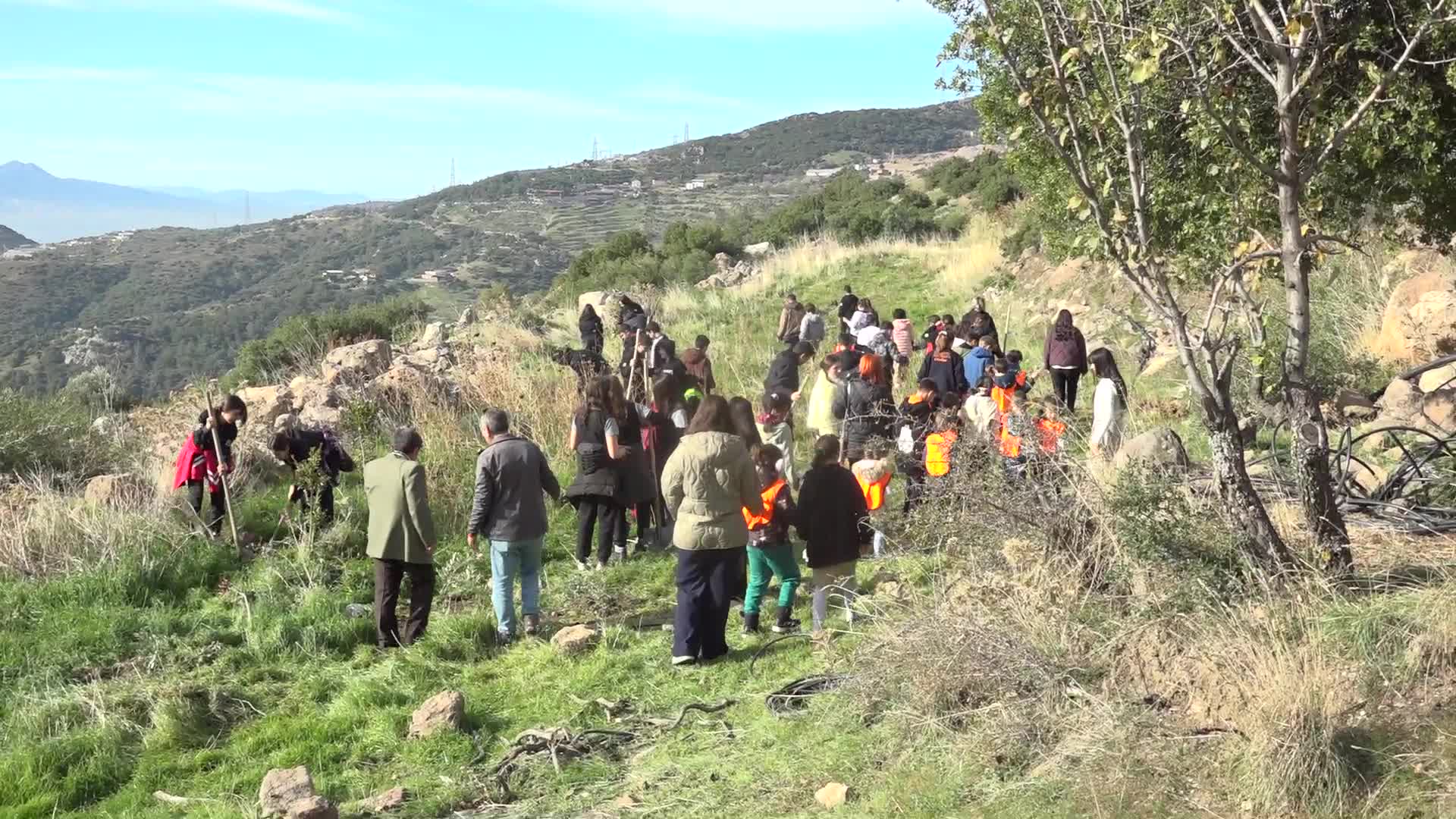 Bornova’da 200 zeytin fidanı toprakla buluştu