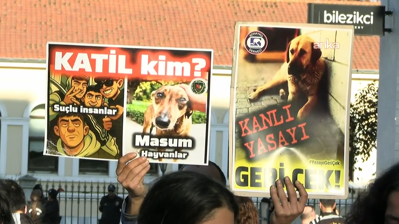 Besleme kısıtlamasına karşı İstanbul Valiliği önünde protesto: “İstanbul’un ekosistemini çökerten hayvanlar değil, suçu köpeklere atmak bilim dışı ve vicdansız bir manipülasyondur"”