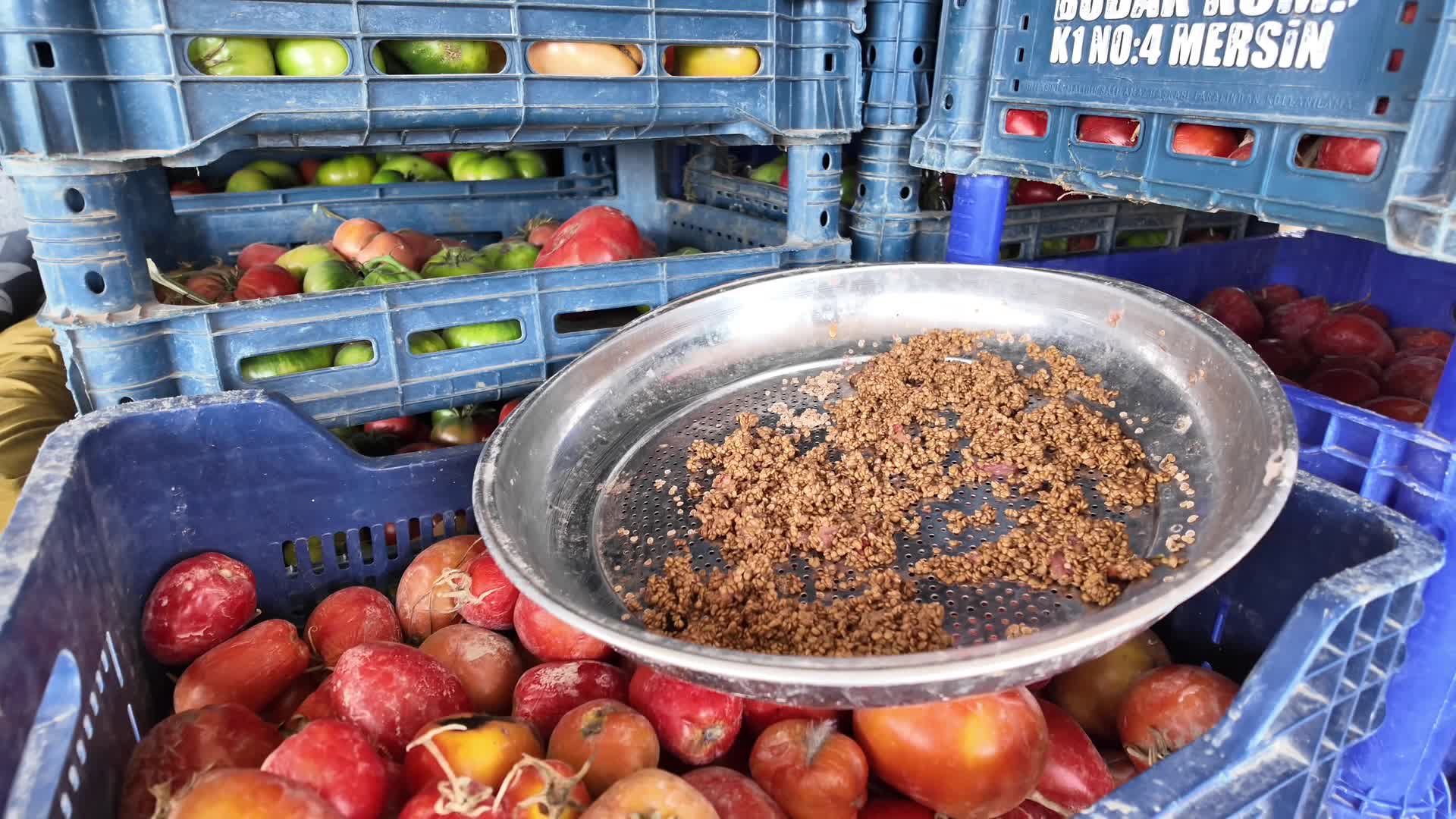 Yozgatlı ziraat mühendisi, çiftçiye organik tohum dağıtmaya hazırlanıyor
