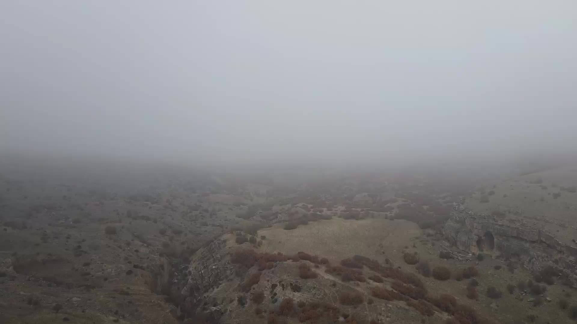 Tunceli'de köylüler avcılığa karşı ayaklandı: Gece gündüz silah sesleri duyuyoruz