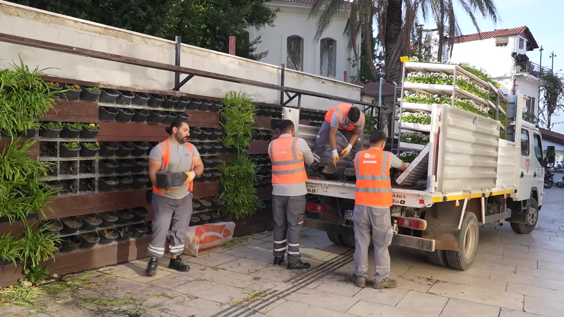 Antalya’da 4 milyon çiçek toprakla buluşturuluyor