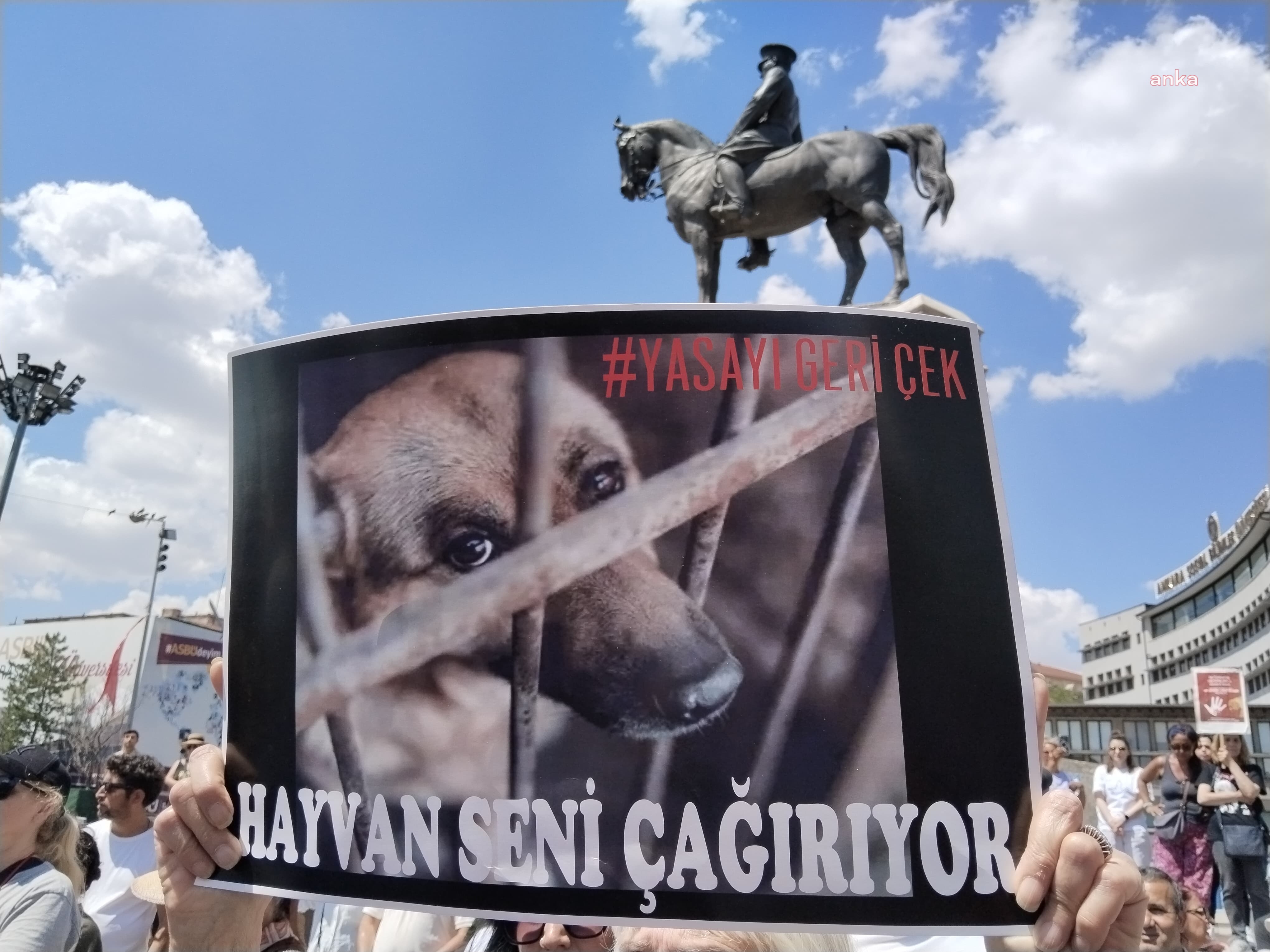 AYM, 7527 sayılı Hayvanları Koruma Kanununda Değişiklik Yapılmasına Dair Kanun’un bazı hükümlerinin iptali istemini reddetti