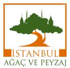 İstanbul’a 9 yeni milli gül
