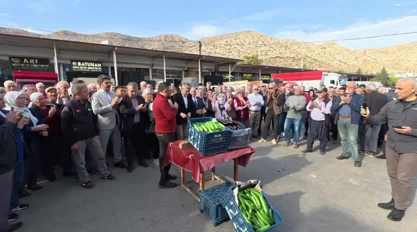 Mersin'de salatalık üreticileri tepkili... Aydıncık Belediye Başkan Kılıçarpa: Artık bıçak kemiğe dayandı, nefes almak istiyoruz