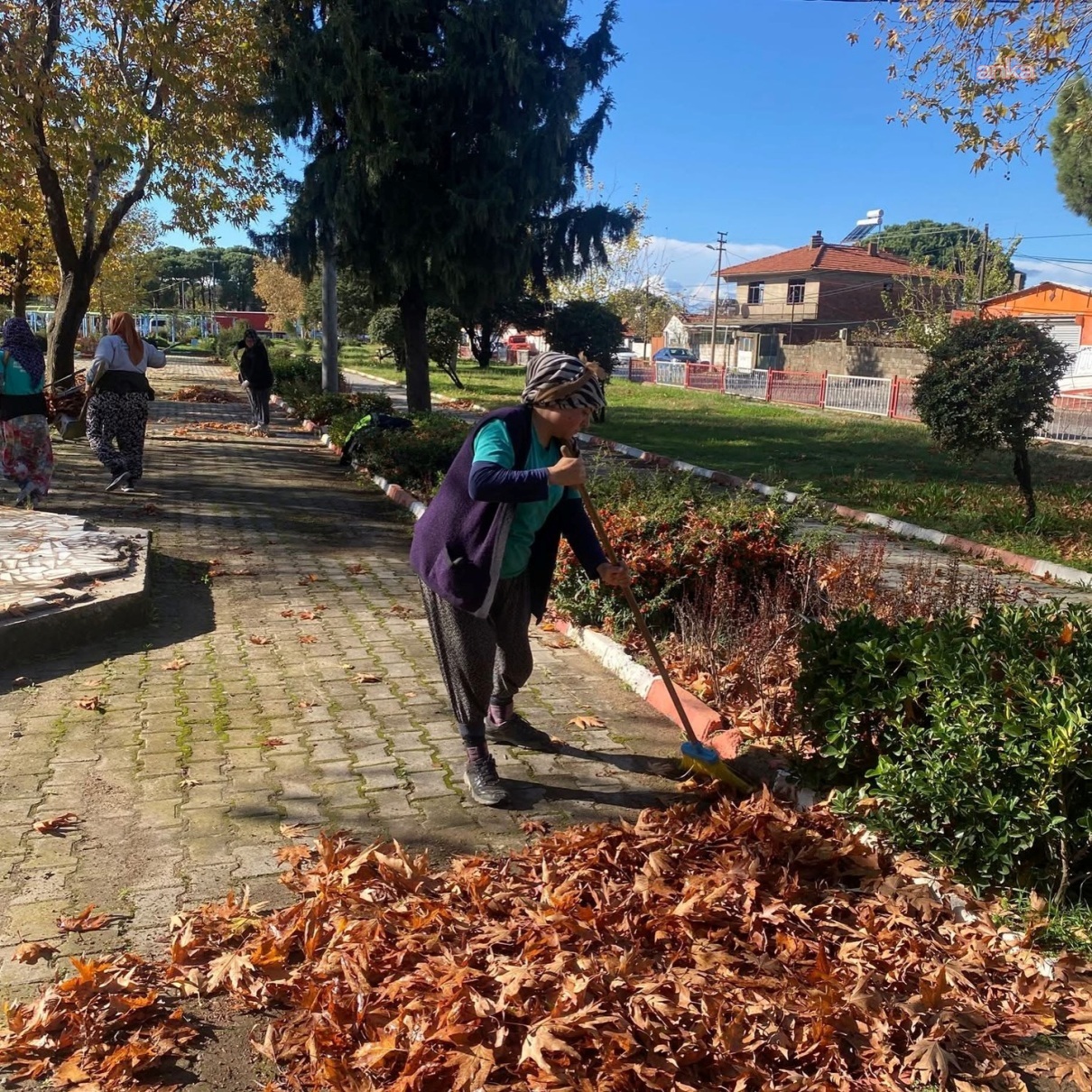 Ayvalık Belediyesi, kentte kış hazırlıklarını sürdürüyor