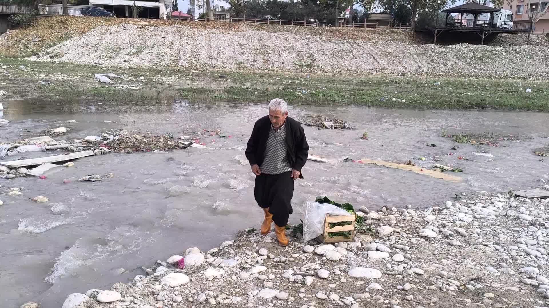Kadirli'de Savrun Çayı'na atılan ıspanakları toplayan emekli: "Maaş yetmiyor"