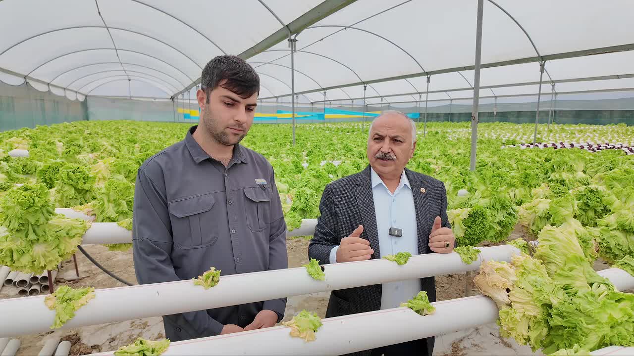 CHP’li Dinçer: "Üretici destek görmüyor, tüketici ise  40-50 liraya marula erişemiyor"