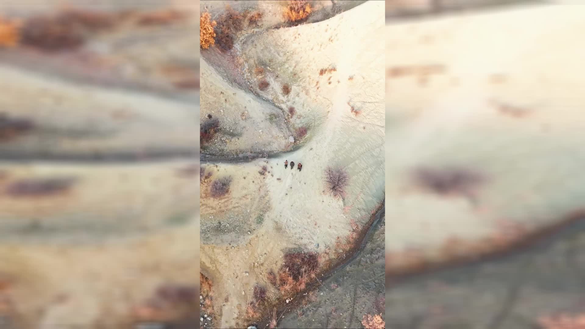 Tunceli’de yasa dışı avcılık yapan 3 kişiye ceza