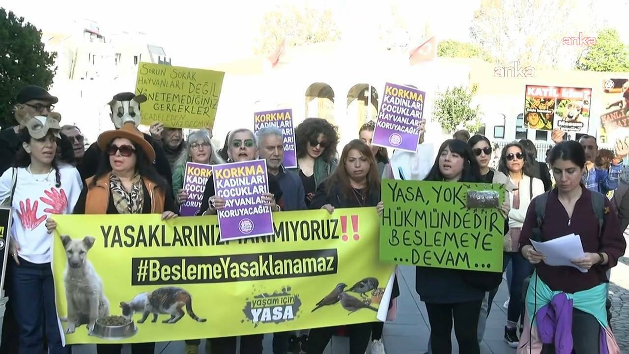 İstanbul Barosu Hayvan Hakları Merkezi, İstanbul Valiliği'nin sokakta köpek beslenmesine yönelik kısıtlamasına karşı dava açtı