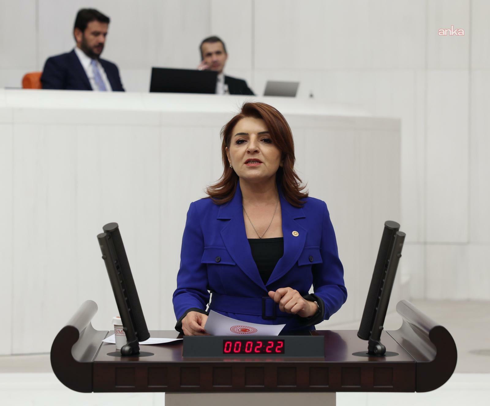 CHP'li Kış: "İktidar ekonomi değil, borç psikolojisi yönetiliyor"