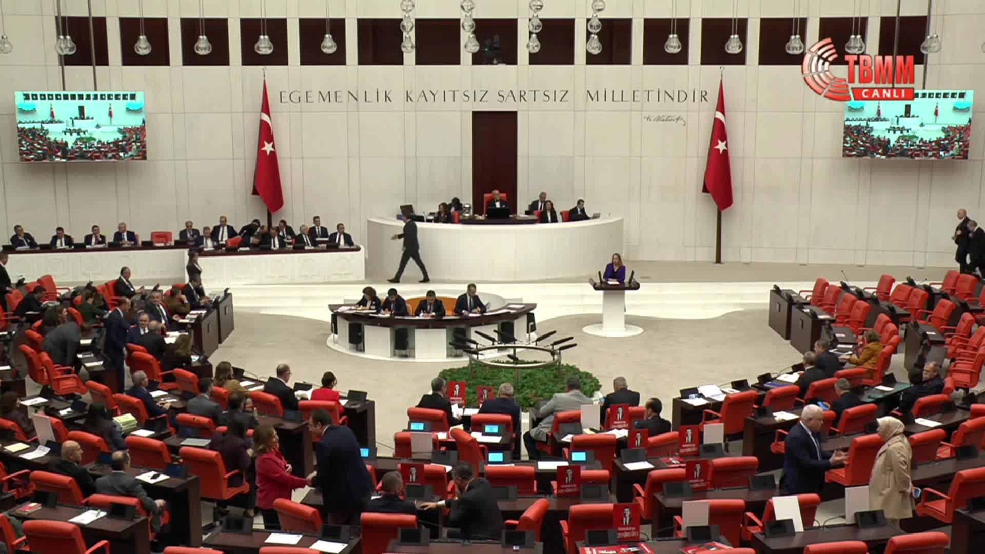 2026 Bütçesi TBMM Genel Kurulu'nda... DEM Partili Ayan: "Adaleti resmen yurt dışı turizmi haline getirmişsiniz"