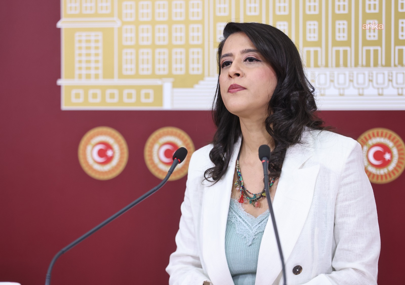 EMEP'li Karaca, Divriği'de işten çıkarılan madenciler konusunu TBMM gündemine taşıdı