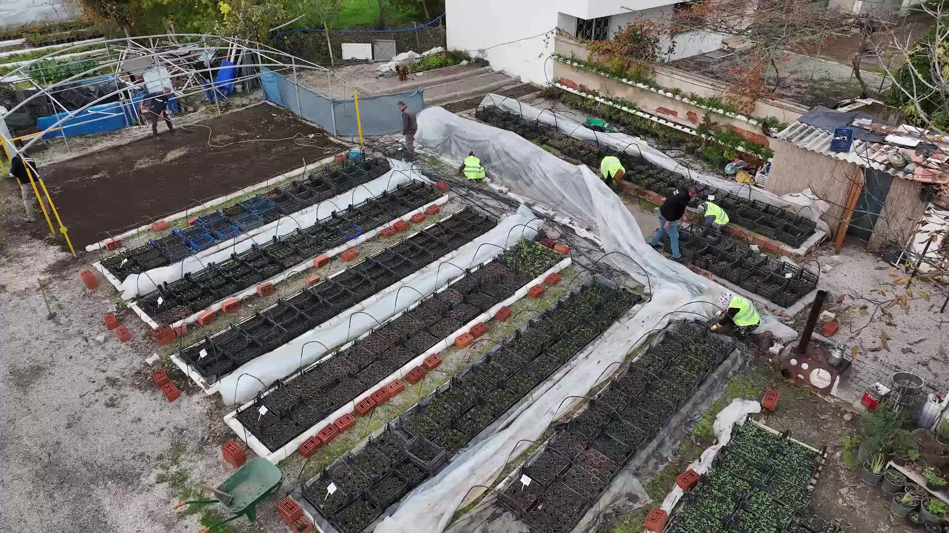 Edremit Belediyesi'nden iklime dirençli adım: 28 çeşit sukulent ve sedum bitkisinin üretimine başlandı