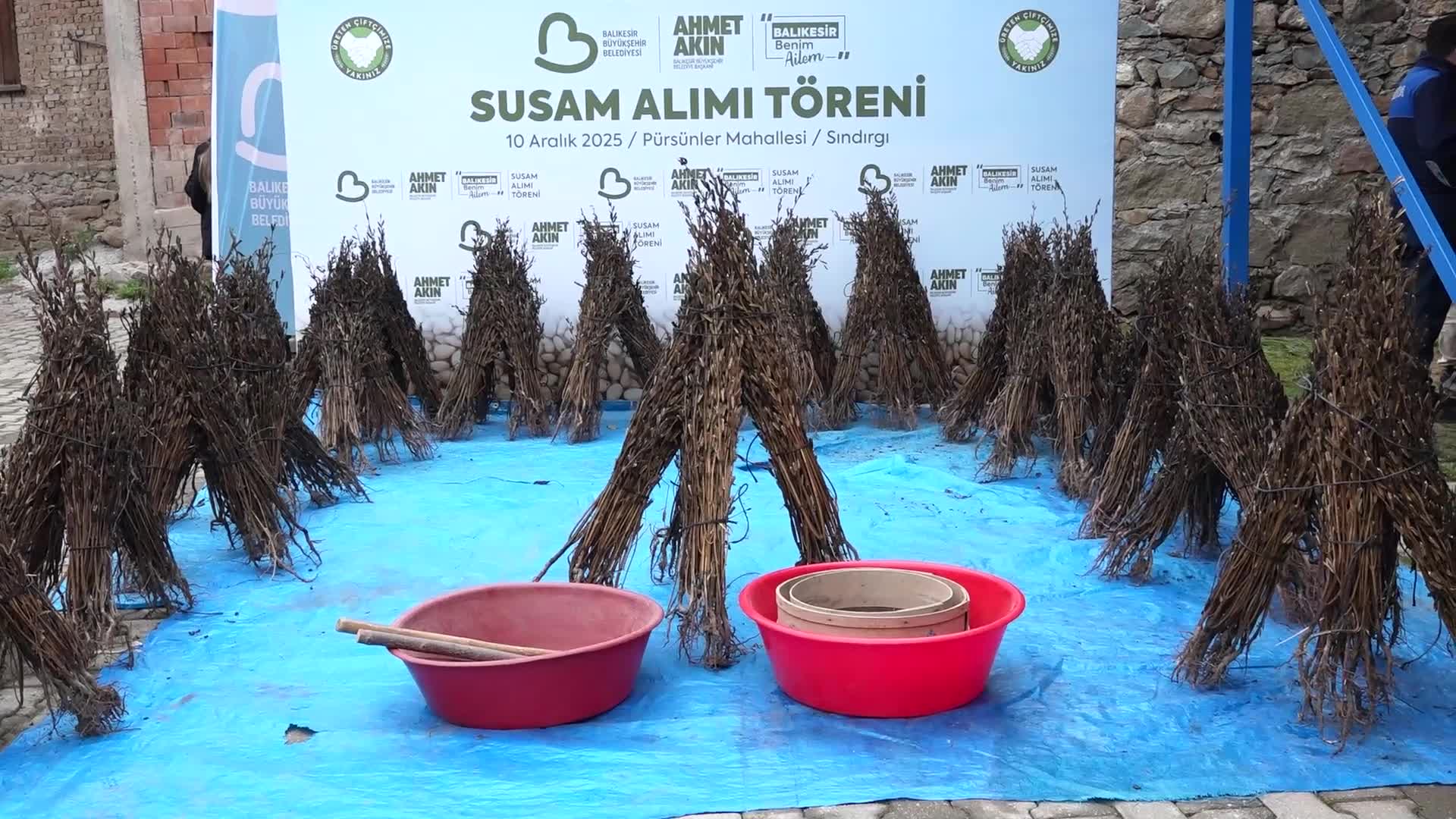 Balıkesir Büyükşehir Belediyesi'nden susam üreticisine destek... Başkan Akın: "20 ilçede ürünlere satın alma garantisi veriyoruz"