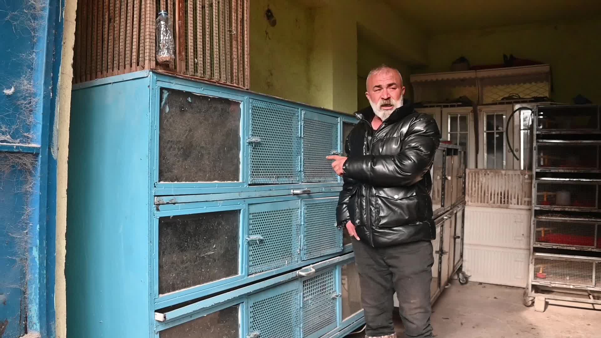 Şefaatli'de kümes hayvanı yetiştiricisi Hasan Şahan: "8 yıl önce 10-15 hayvanla başladım, bugün bin 500-2 bin hayvana ulaştım"