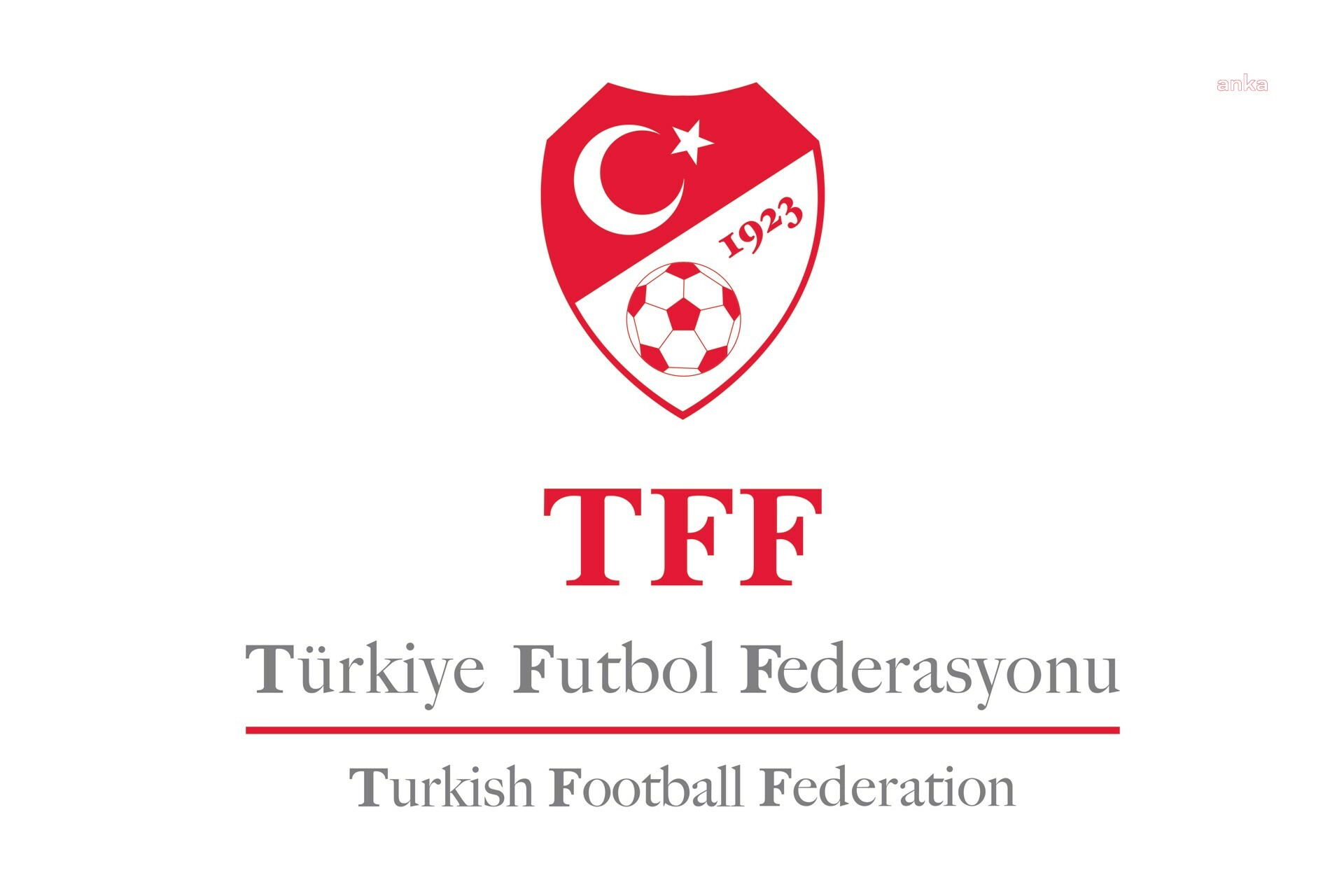PFDK, 224 futbolcuya ve 24 hakeme bahis cezası verdi