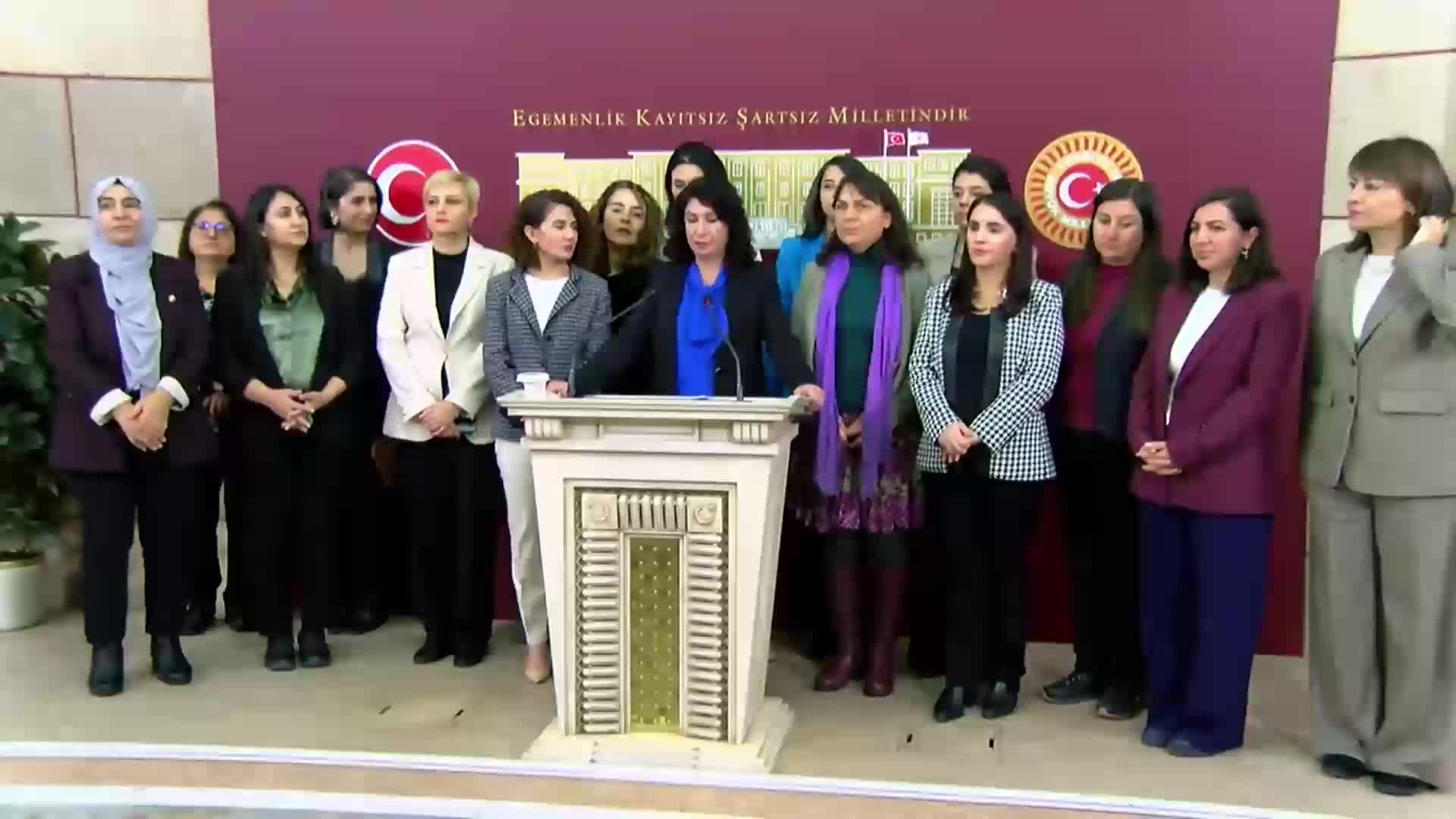 TBMM'de cinsel istismar iddiası... DEM Parti Kadın Meclisi Sözcüsü Halide Türkoğlu: "Bu çocuklar şikâyet edene kadar Meclis neredeydi?"