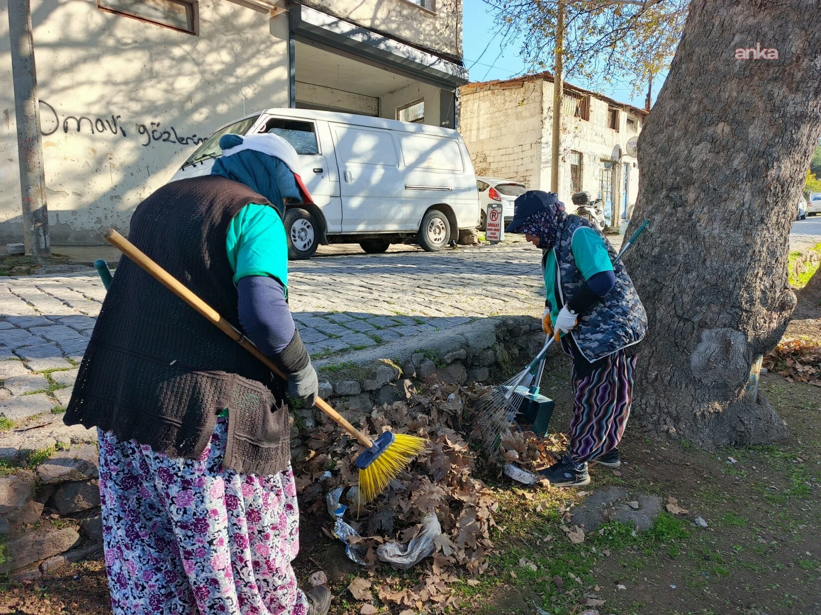 Ayvalık Belediyesi Park ve Bahçeler Müdürlüğü’nden yoğun mesai