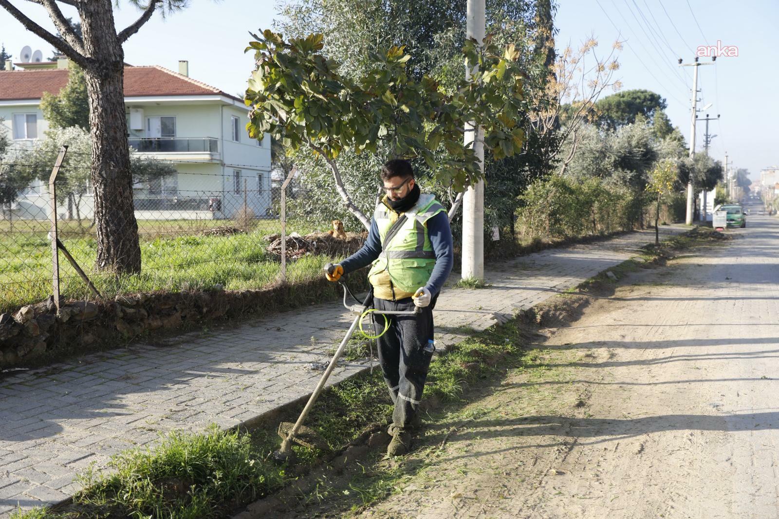Aydın Büyükşehir Belediyesi'nden Çine'de çevre bakım ve düzenleme çalışması