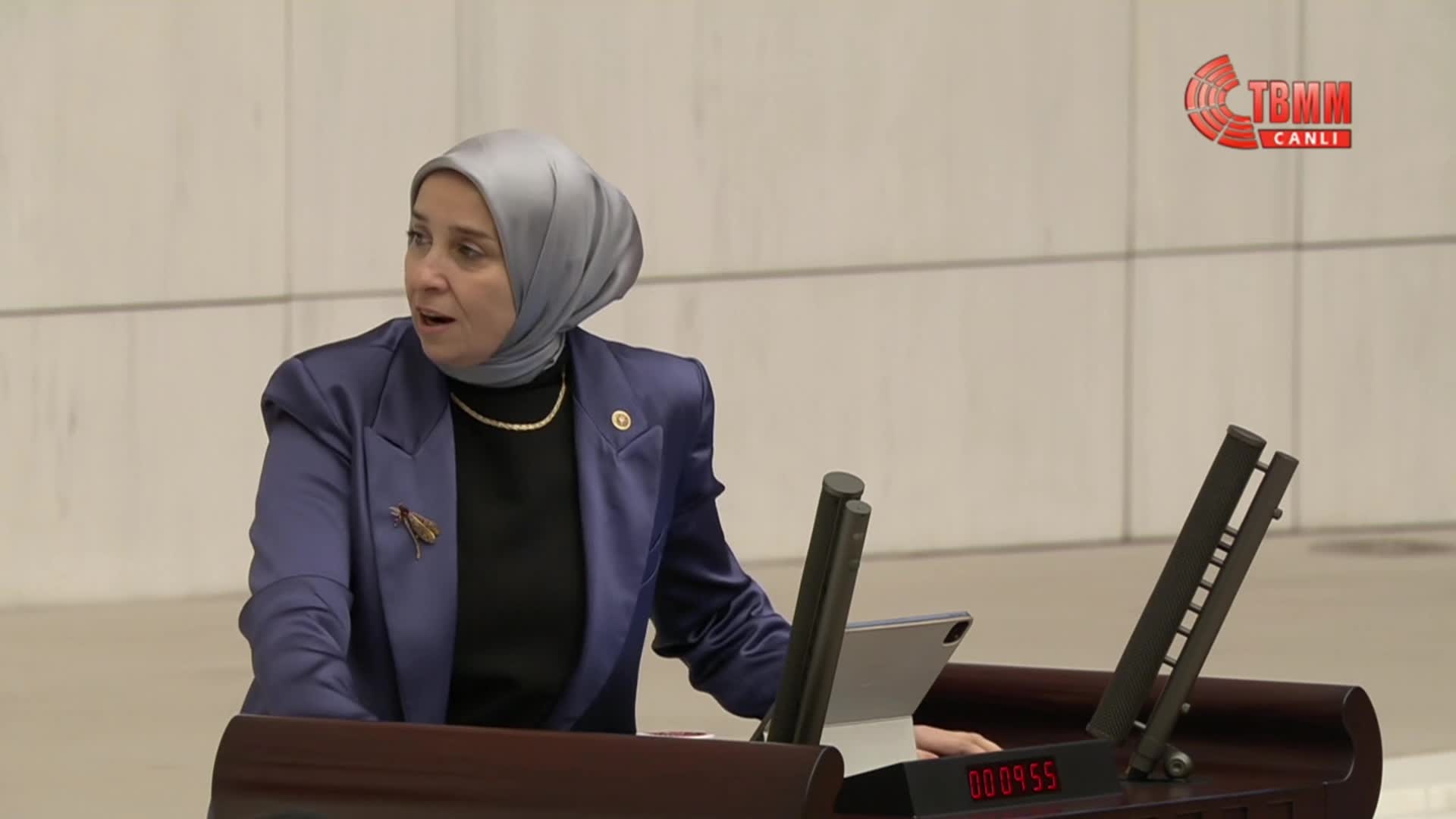 2026 bütçesi TBMM Genel Kurulu'nda... MHP'li Erkan Akçay: Leyla Zana Başbuğ Alparslan Türkeş'in 'kızım' diye hitap ettiği bir şahsiyettir
