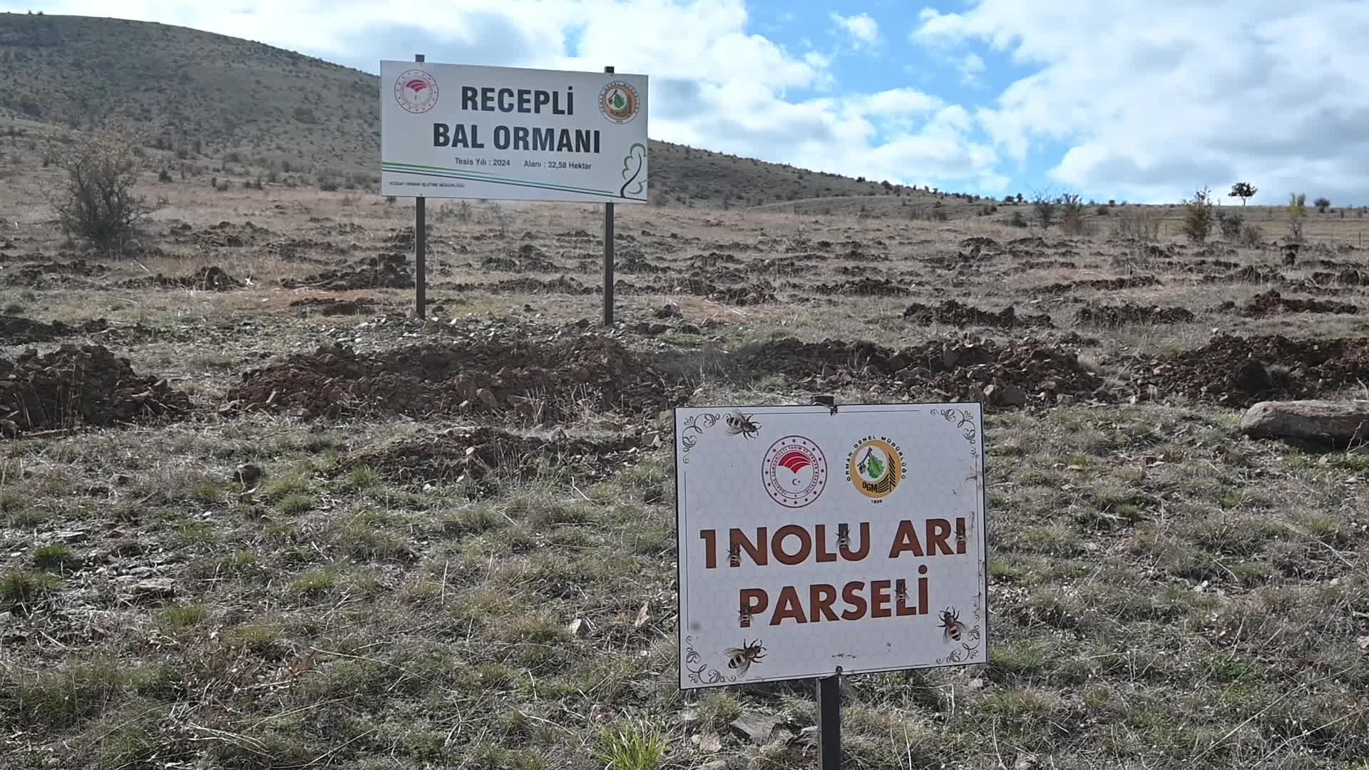 Yozgat'ta Çekerek Nehri Havzası'nda rehabilitasyon çalışmaları devam ediyor