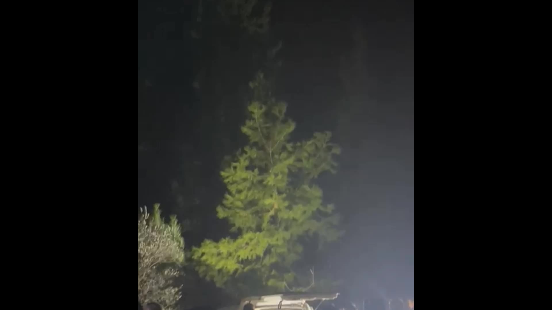 Osmaniye'de 2 kişi mezarlıkta boğazları kesilmiş halde ölü bulundu