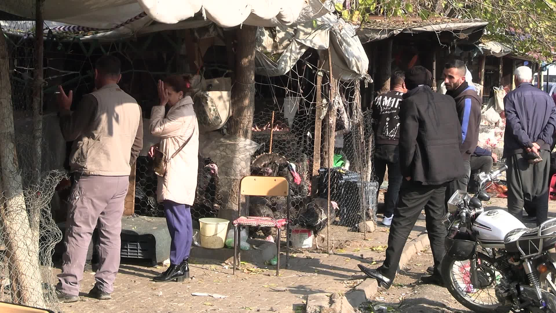 Diyarbakır’da yılbaşı öncesi hindi satıcıları dertli: “Kimse alamıyor”