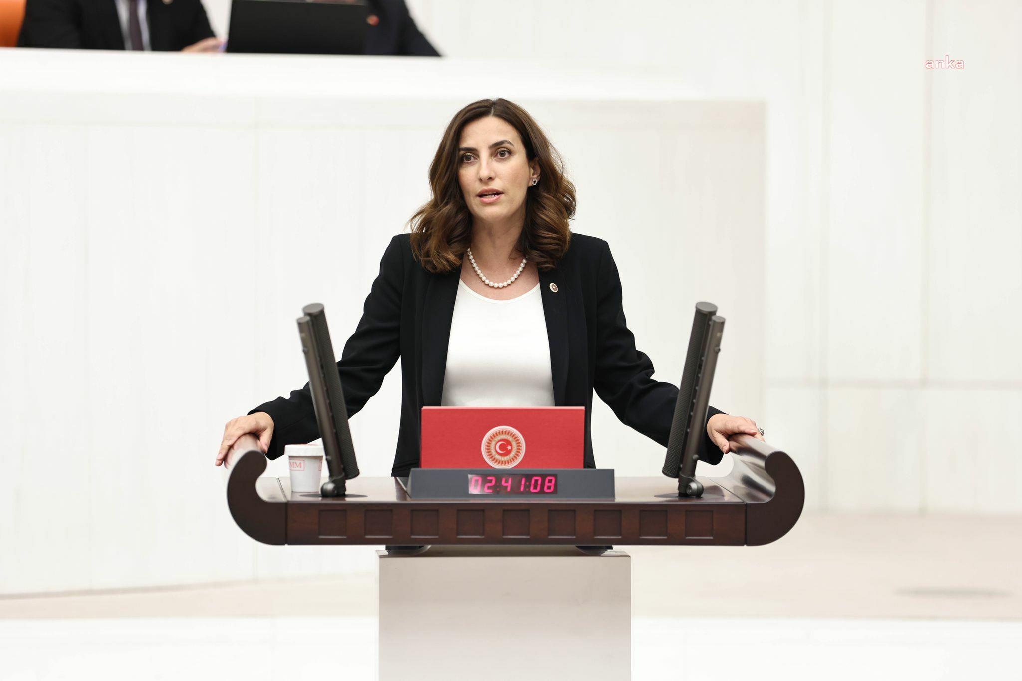 CHP’li Rızvanoğlu, Silivri Danamandıra’daki taş ocağı faaliyetlerinde kapasite artışı ve ÇED süreçlerini Meclis gündemine taşıdı