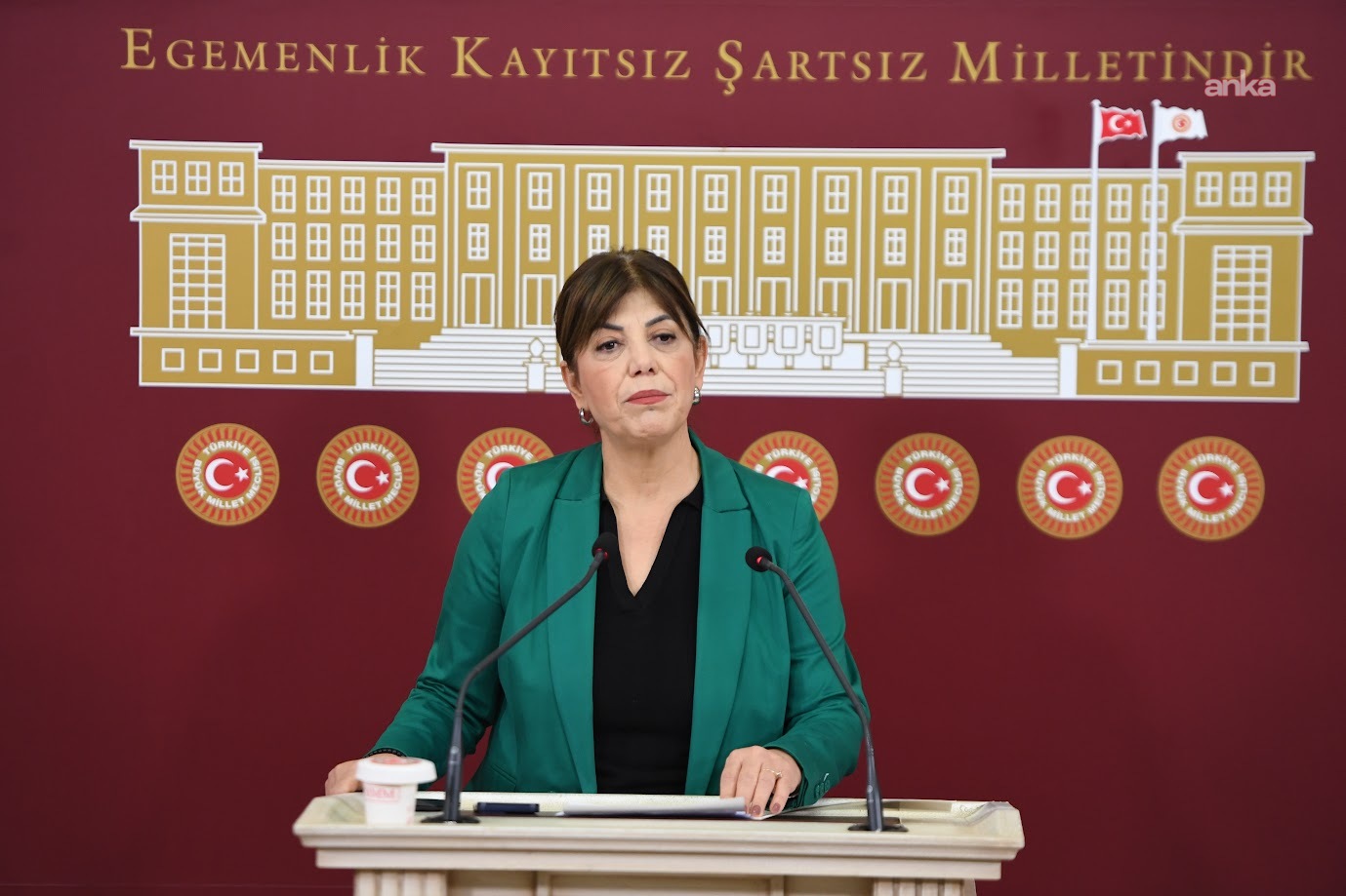 Milli Dayanışma Kardeşlik ve Demokrasi Komisyonu... Meral Danış Beştaş'tan partilere rapor eleştirisi: “Bütün partiler barış dememek için kırk dereden su getiriyorlar”