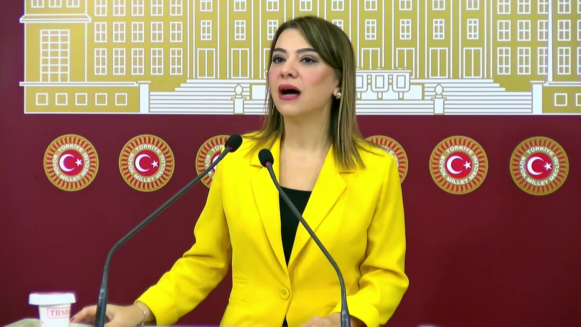 Gamze Şengel Taşcıer:  "Asgari ücreti açlık sınırının üzerinde, yoksulluğu azaltan ve yaşamı güvence altına alan bir düzeyde belirleyeceğiz"