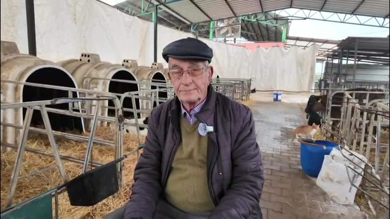 Aydın Süt Üreticileri Birliği Başkanı Servet Başkaya: 2025 yılı, maalesef tarım kesimindeki tüm üreticilerimizin zarar ettiği bir yıl oldu