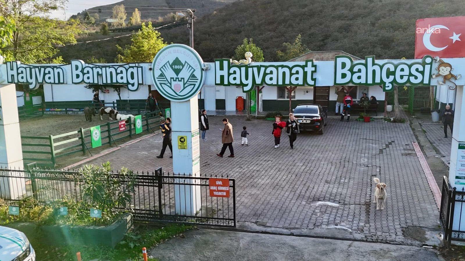 Giresun Belediyesi Hayvan Barınağı, 2025 yılında 200 patili dostu sıcak yuvalarına kavuşturdu