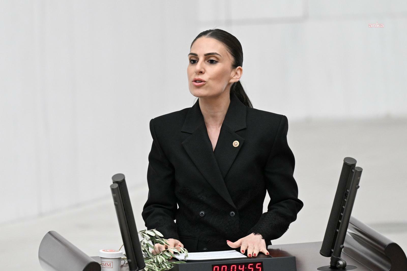CHP'li Özcan, Sağlık Bakanı Memişoğlu'na, Muğla Eğitim ve Araştırma Hastanesi'ndeki tahtakurusu istilasını sordu