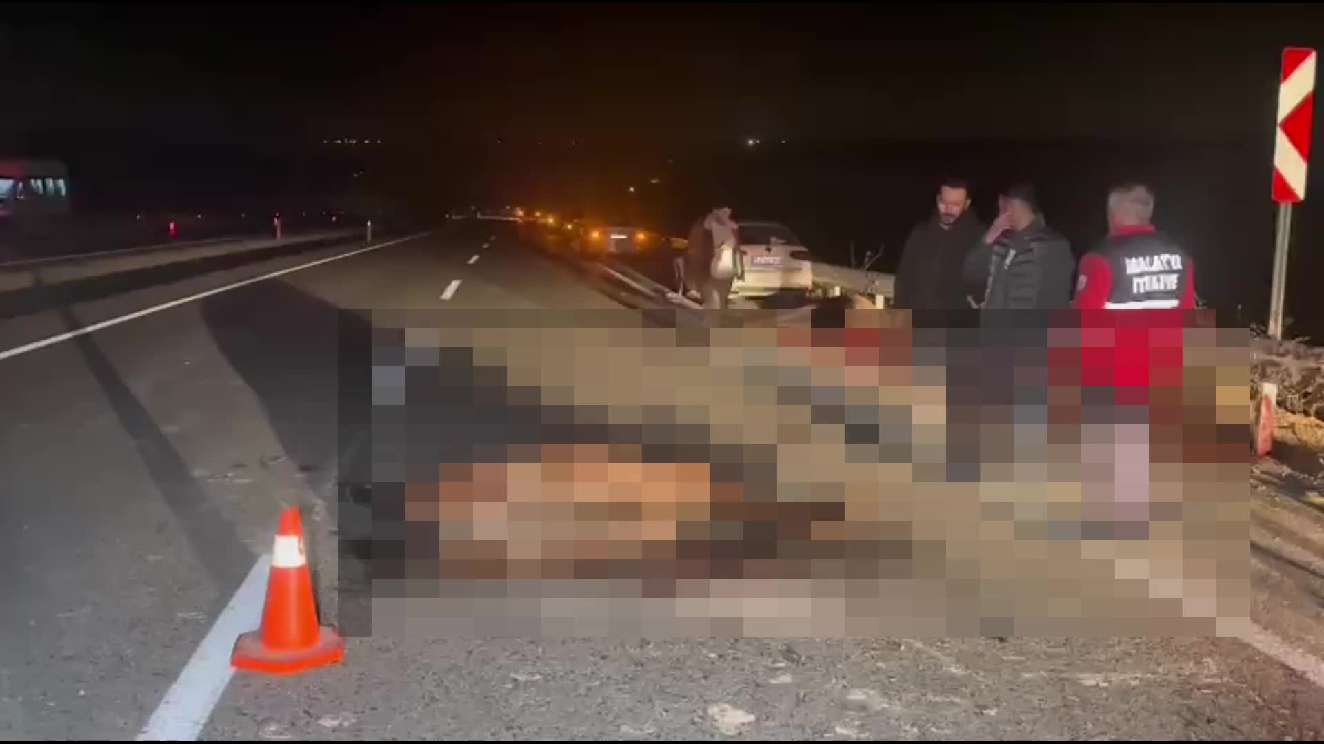 Sultan Suyu Tarım İşletmesi’nden kaçan taylar karayolunda kazalara neden oldu: 6 tay öldü 2 yaralı
