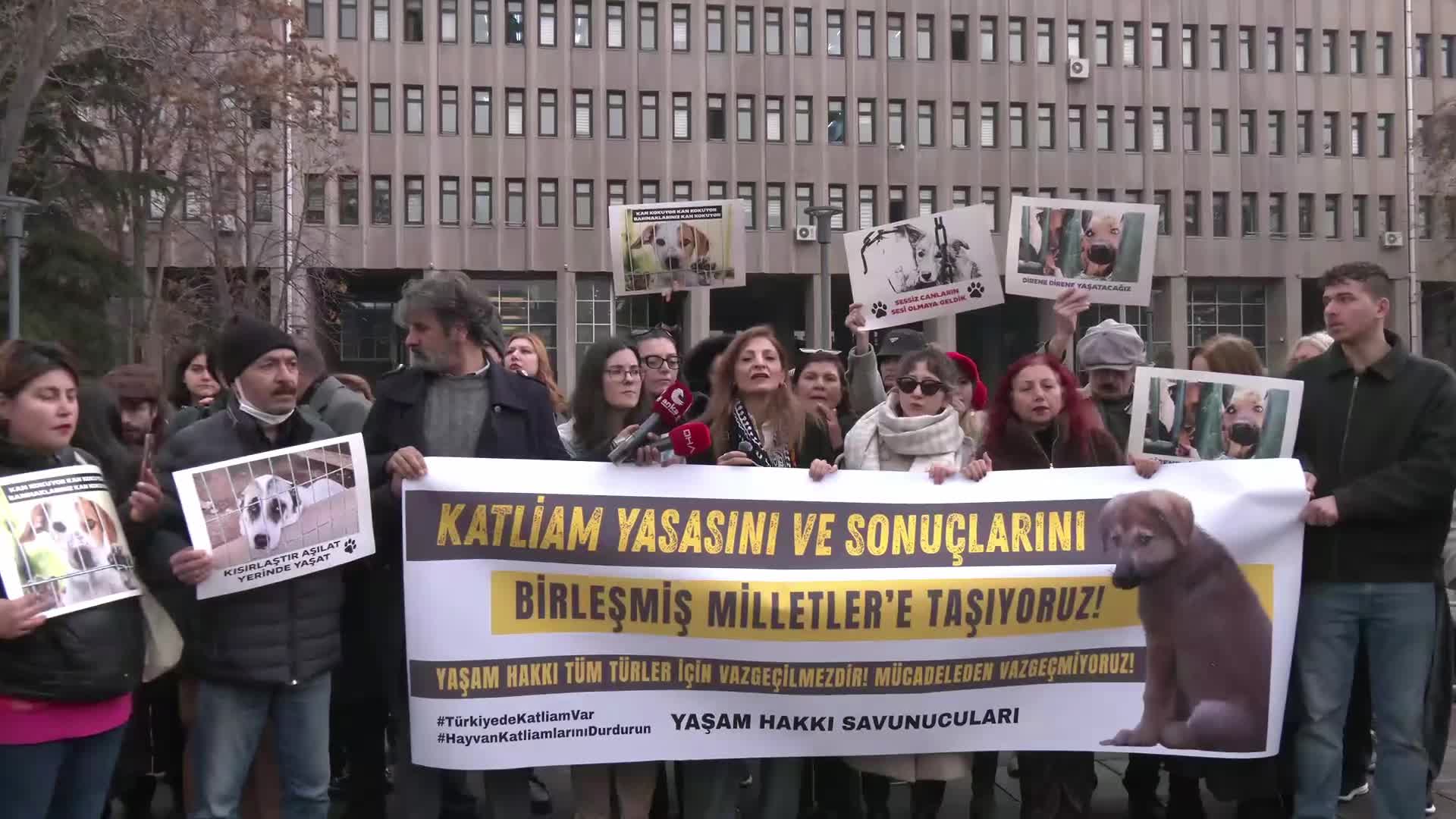 Hayvan hakları savunucusu avukatlar, "Katliam Yasası"nın hayvanlara yönelik sistematik şiddeti artırdığı gerekçesiyle BM'ye başvurdu