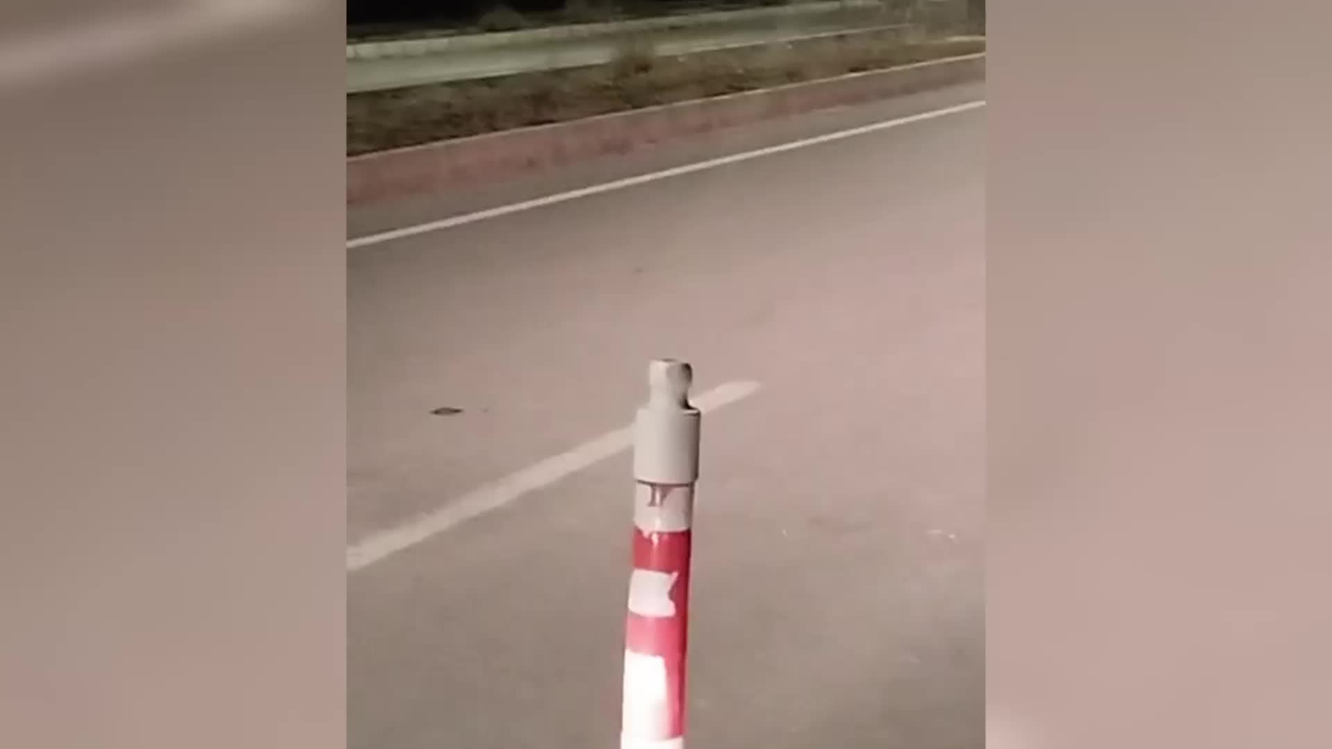Van'da ilçe merkezine inen kurtlar cep telefonu kamerasına yansıdı