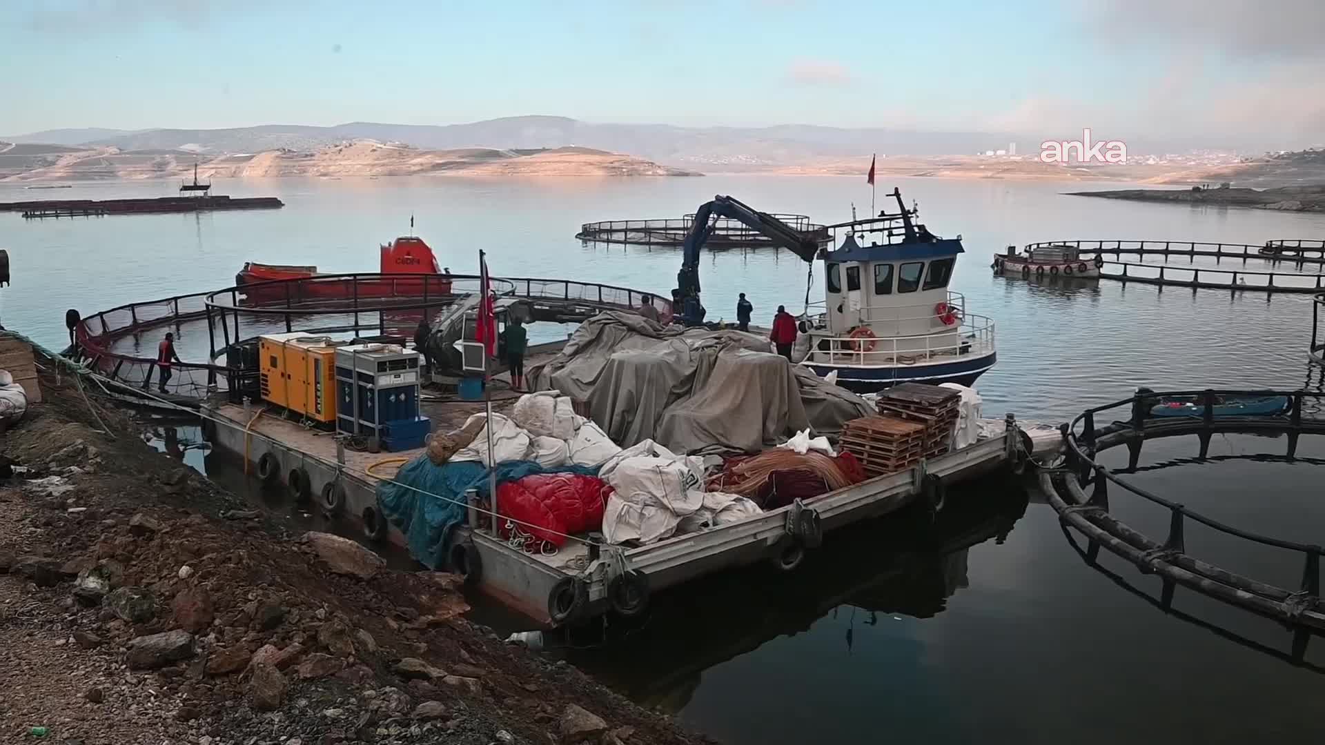 Yozgat’ta yetiştirilen balıklar Samsun’da somon olup, Rusya ve Japonya’ya gönderiliyor