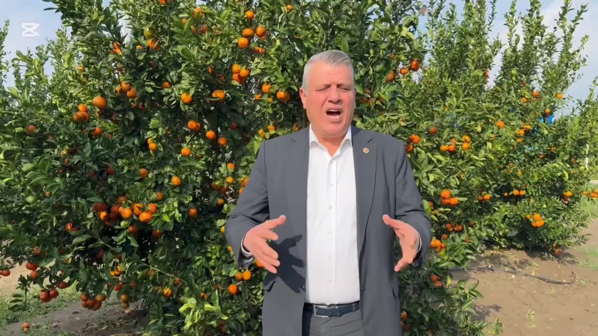 CHP'li Barut: Üreticilerimizin zararlarının karşılanmasını ve afet bölgesi ilanıyla beraber borçların faizsiz iki sene ertelenmesini istiyoruz