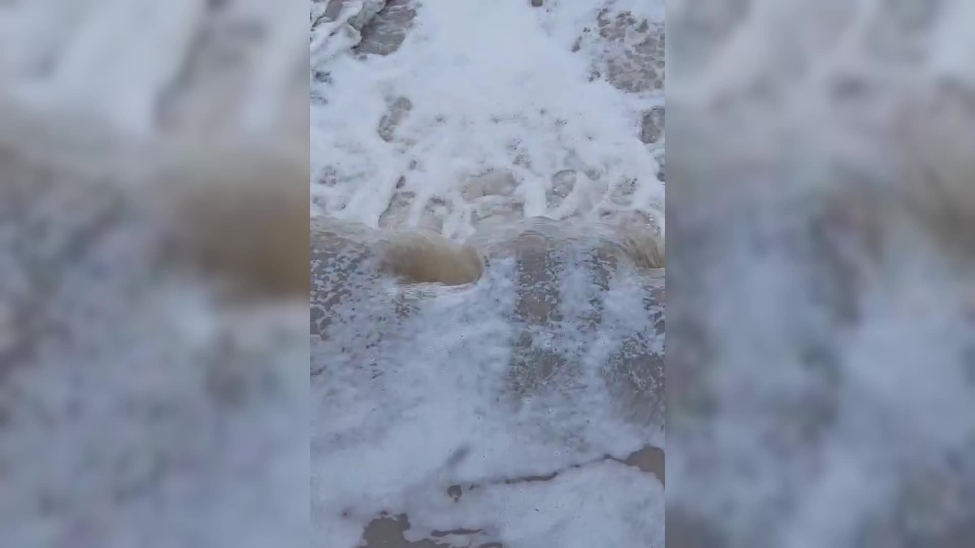 İzmir Körfezi ve Gediz Nehri’nde yapılan incelemelerde sanayi kaynaklı kirlilik tespit edildi