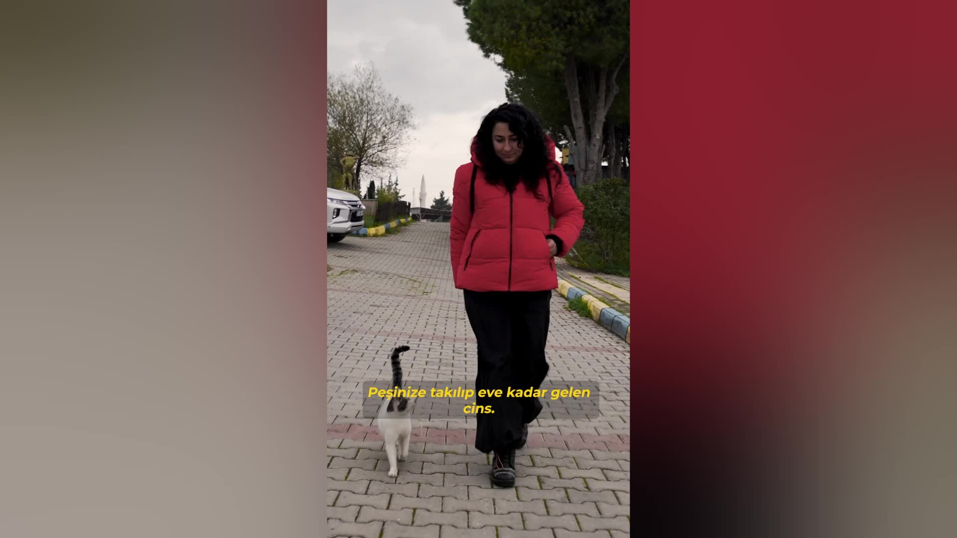 Buca'da 300 can dostu yeni yuvasına kavuştu: “Satın alma, sahiplen” çağrısı yanıt buldu