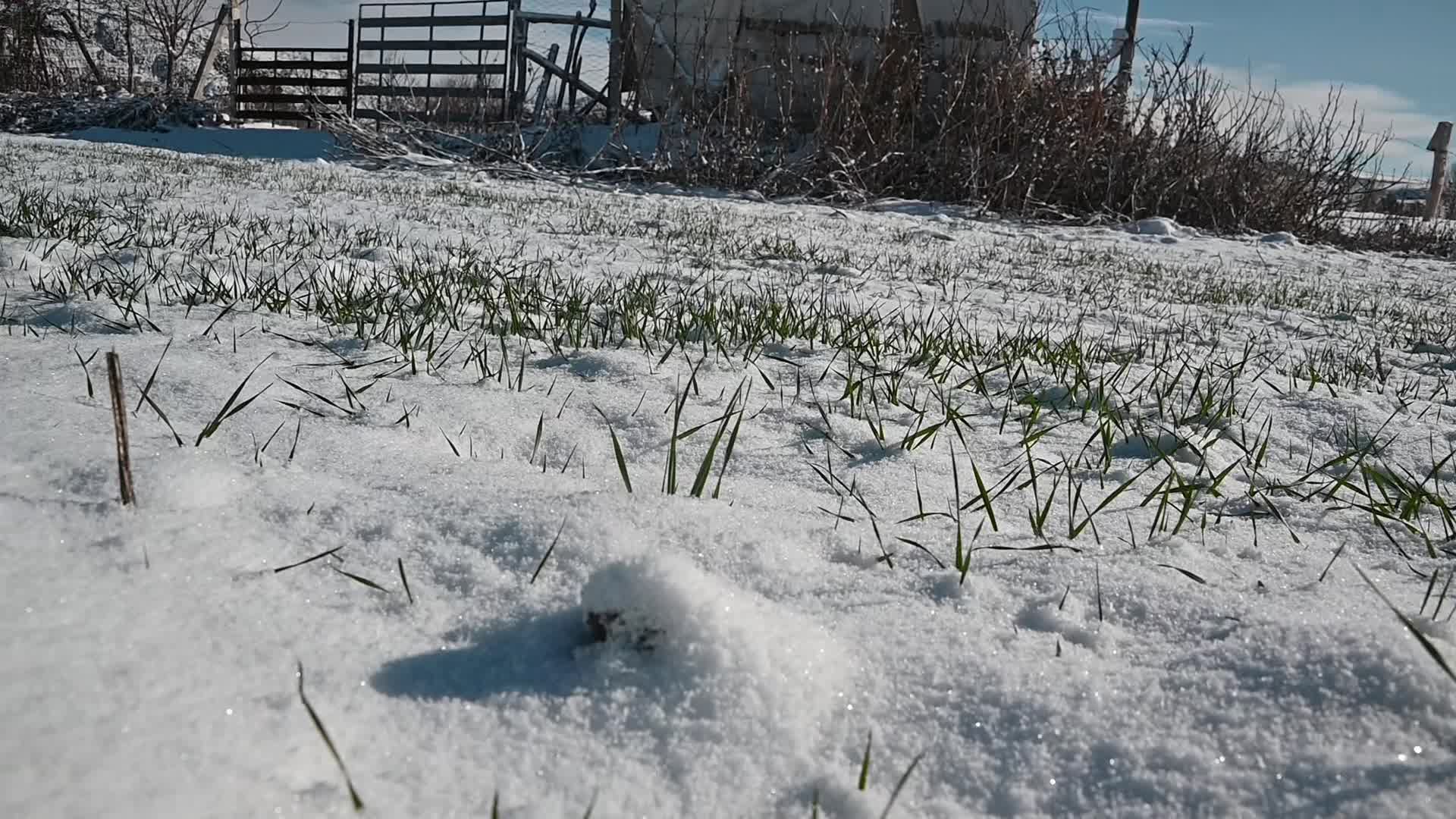 Yozgat'ta kar yağışı çiftçiyi umutlandırdı