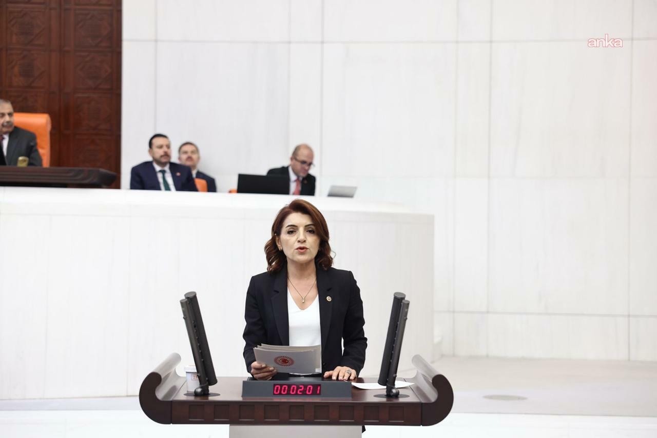 CHP'li Kış: "Aile Yılı’nda açlık büyüdü, kadınlar katledildi, aileler borca battı"