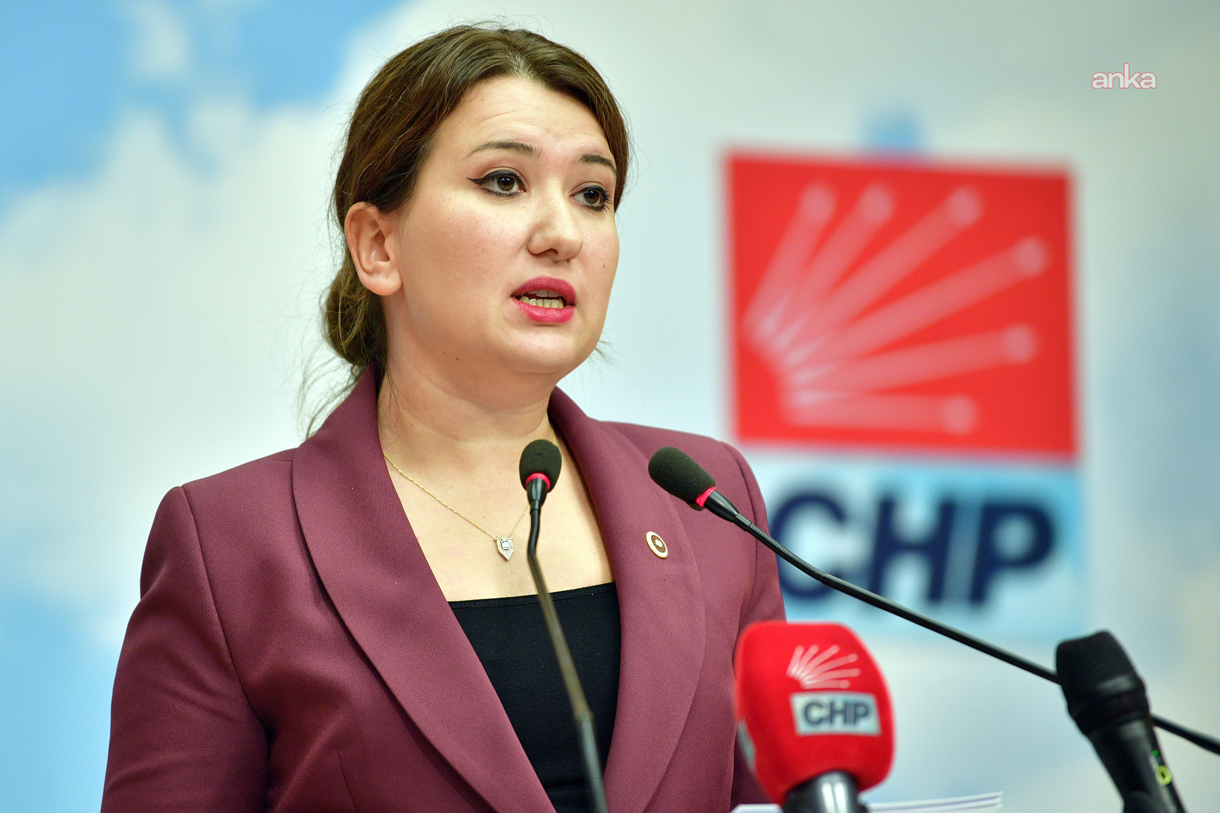 Gökçe Gökçen: “CHP Kadıköy Gençlik Kolları yöneticisi Bilgekağan gözdağı olsun diye tutuklandı”