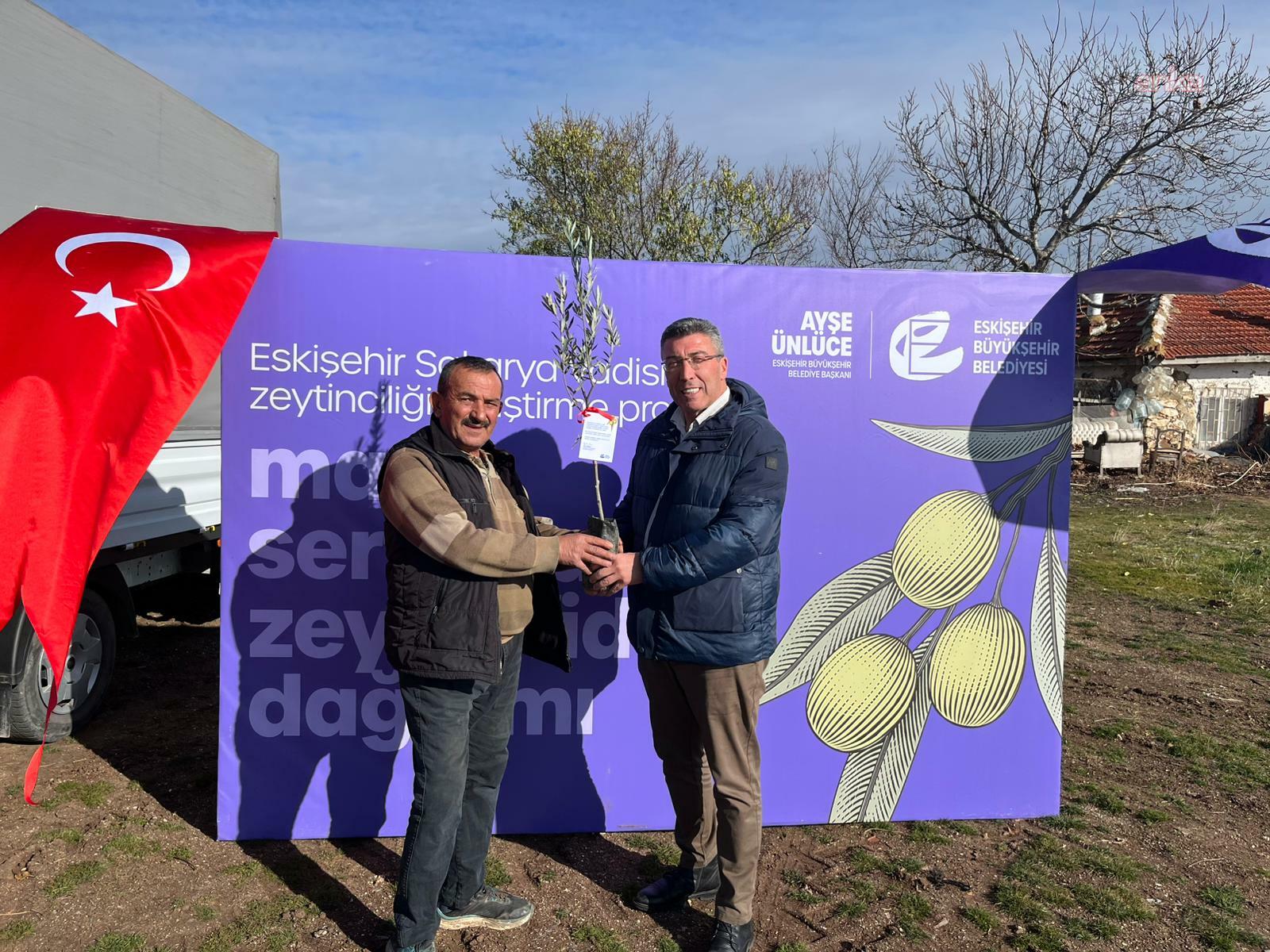 Eskişehir Büyükşehir Belediyesi'nin projesiyle zeytin geleceğe kök salıyor