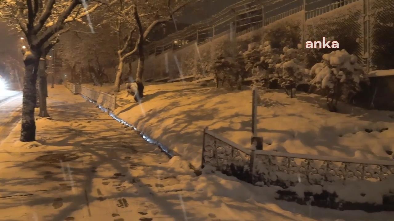 Başkent Ankara beyaza büründü